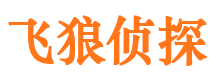 涪城市私家调查